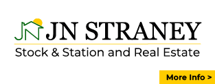 JN Straney Real Estate